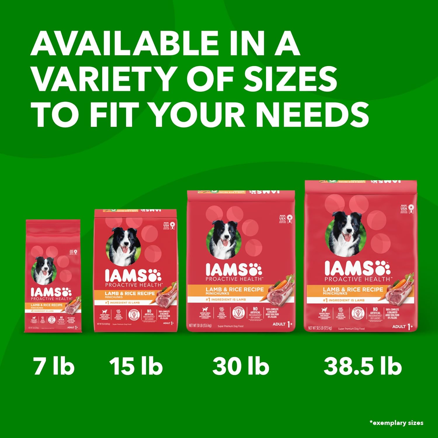 IAMS Minichunks Adult Lamb & Rice Recipe Dry Dog Food - 15 lb Bag