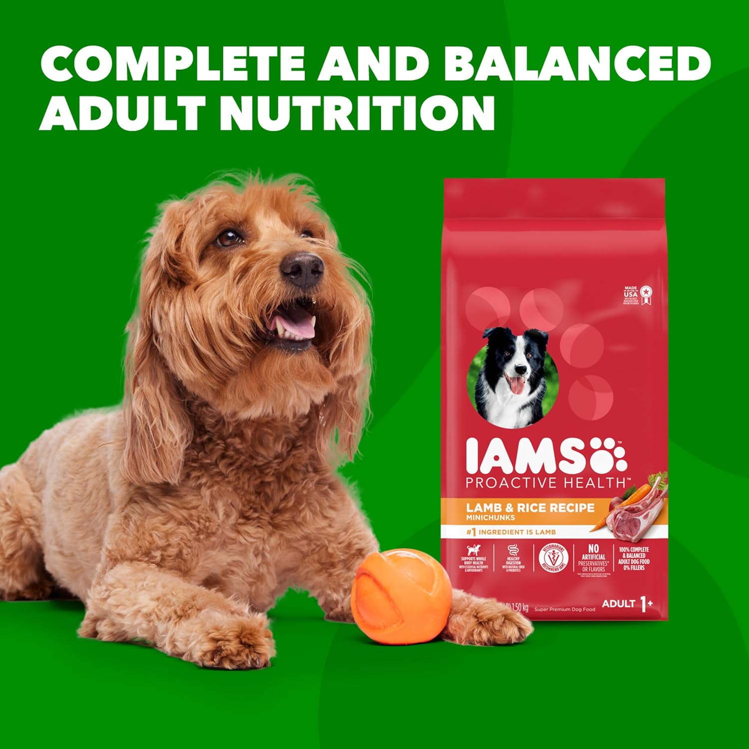 IAMS Minichunks Adult Lamb & Rice Recipe Dry Dog Food - 15 lb Bag